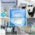 Местные анестетики Бензокаин HCl с выгодной ценой CAS 23239-88-5